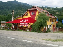 Rural accommodation at  Pensiunea Dracula