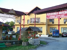 Pensiunea Dracula - accommodation in  Fagaras and nearby, Transfagarasan (11)