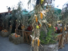 lapeCasa Bucovineana - alloggio in  Vatra Dornei, Bucovina (25)