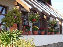 Pensiunea Rasnov - accommodation in  Rucar - Bran, Rasnov (08)