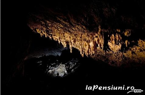 Pensiunea Rasnov - cazare Rucar - Bran, Rasnov (Activitati si imprejurimi) Pensiunea Rasnov - cazare Rucar - Bran, Rasnov (Activitati si imprejurimi)