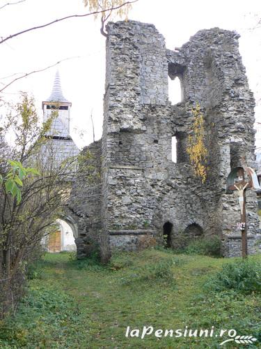 Pensiunea Somesana - accommodation in Bistrita (Surrounding) Pensiunea Somesana - accommodation in Bistrita (Surrounding)
