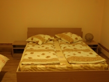 Pensiunea Diana - accommodation in  Sibiu Surroundings, Olt Valley, Fagaras and nearby (07)