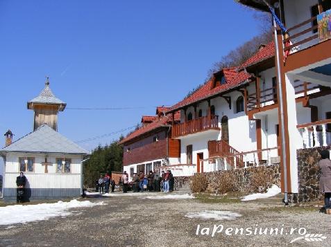 Pensiunea Diana - cazare Marginimea Sibiului, Valea Oltului, Fagaras (Activitati si imprejurimi) Pensiunea Diana - cazare Marginimea Sibiului, Valea Oltului, Fagaras (Activitati si imprejurimi)