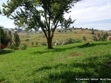 Casa Eden - alloggio in  Apuseni, Belis (20)