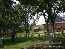 Casa Eden - alloggio in  Apuseni, Belis (27)