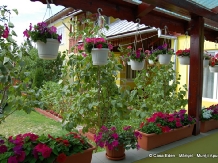 Casa Eden - accommodation in  Apuseni Mountains, Belis (32)