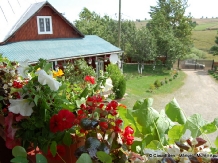 Casa Eden - accommodation in  Apuseni Mountains, Belis (33)