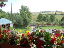 Casa Eden - alloggio in  Apuseni, Belis (34)