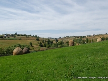 Casa Eden - accommodation in  Apuseni Mountains, Belis (35)