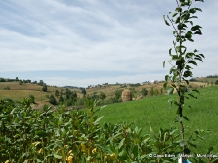 Casa Eden - alloggio in  Apuseni, Belis (36)