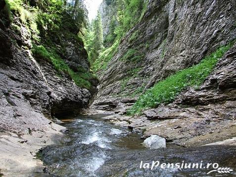 Casa Eden - accommodation in Apuseni Mountains, Belis (Surrounding) Casa Eden - accommodation in Apuseni Mountains, Belis (Surrounding)