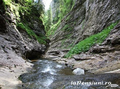 Casa Eden - cazare Apuseni, Belis (Activitati si imprejurimi)