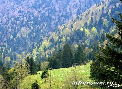 Casa Eden - cazare Apuseni, Belis (Activitati si imprejurimi)