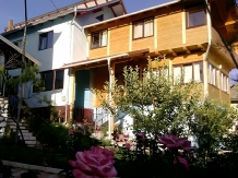 Rural accommodation at  Cazare Vila Elena