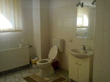 Vila Share - accommodation in  North Oltenia, Transalpina (24)