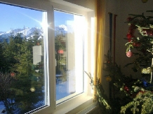 Vila Share - accommodation in  North Oltenia, Transalpina (35)