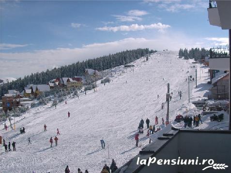 Pensiunea la Padurea Statului - accommodation in  North Oltenia, Transalpina (Surrounding)