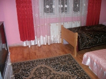 Pensiunea Cristina - accommodation in  Apuseni Mountains, Motilor Country, Arieseni (13)