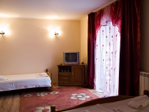 Pensiunea Fagilor - accommodation in  Bucovina (18)