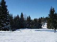 Pensiunea Casa Mea - alloggio in  Tara Maramuresului (11)