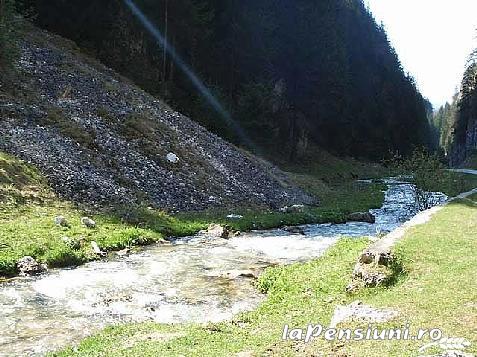 Coliba lui Zalmoxe - cazare Rucar - Bran, Piatra Craiului, Rasnov (Activitati si imprejurimi)