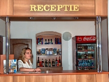 Vila Royal - alloggio in  Tara Maramuresului (17)