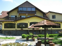 Pensiunea Perla Sigheteana - accommodation in  Maramures Country (13)