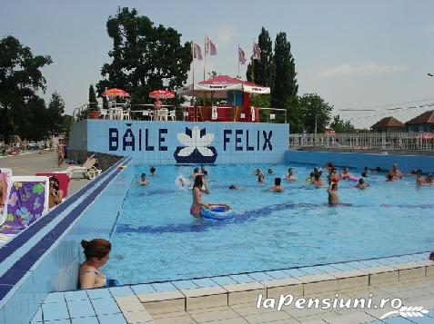 Pensiunea Tudor - accommodation in  Baile Felix (Surrounding)