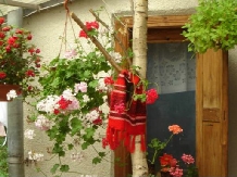 Vila Doina - accommodation in  Gura Humorului, Voronet, Bucovina (02)