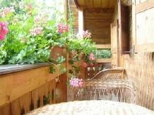 Vila Doina - accommodation in  Gura Humorului, Voronet, Bucovina (03)