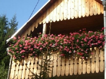 Vila Doina - accommodation in  Gura Humorului, Voronet, Bucovina (04)