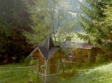 Vila Doina - accommodation in  Gura Humorului, Voronet, Bucovina (05)