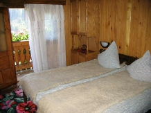 Vila Doina - accommodation in  Gura Humorului, Voronet, Bucovina (10)