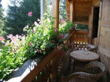 Vila Doina - accommodation in  Gura Humorului, Voronet, Bucovina (11)