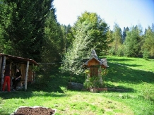 Vila Doina - accommodation in  Gura Humorului, Voronet, Bucovina (12)