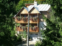 Vila Doina - accommodation in  Gura Humorului, Voronet, Bucovina (13)