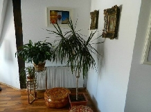 Villa Santa Maria - cazare Transilvania (17)