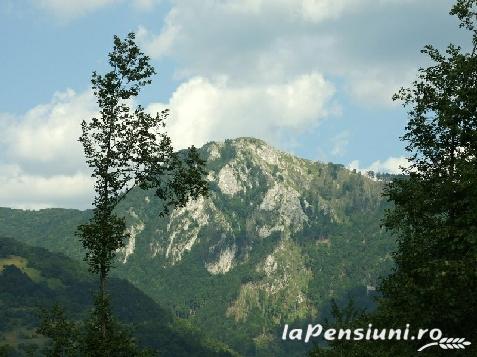 Cabana Turistica Frasin - cazare Rucar - Bran (Activitati si imprejurimi) Cabana Turistica Frasin - cazare Rucar - Bran (Activitati si imprejurimi)
