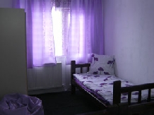 Vila Oana - accommodation in  Hateg Country, Straja (02)