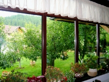 Casa Calin - accommodation in  Gura Humorului, Bucovina (05)