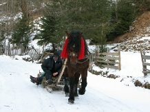 Casa Calin - alloggio in  Gura Humorului, Bucovina (34)