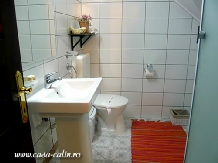 Casa Calin - accommodation in  Gura Humorului, Bucovina (41)