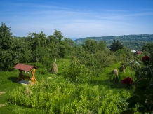 Pensiunea Bontos - accommodation in  Maramures Country (08)