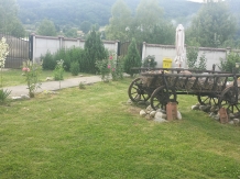 Pensiunea Mihaela - alloggio in  Valea Oltului (04)
