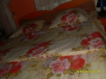 Pensiunea Mihaela - accommodation in  Olt Valley (10)