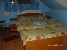 Pensiunea Mihaela - accommodation in  Olt Valley (11)