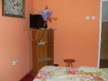 Pensiunea Mihaela - accommodation in  Olt Valley (12)