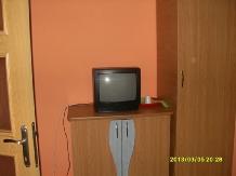 Pensiunea Mihaela - accommodation in  Olt Valley (16)