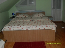 Pensiunea Mihaela - accommodation in  Olt Valley (22)